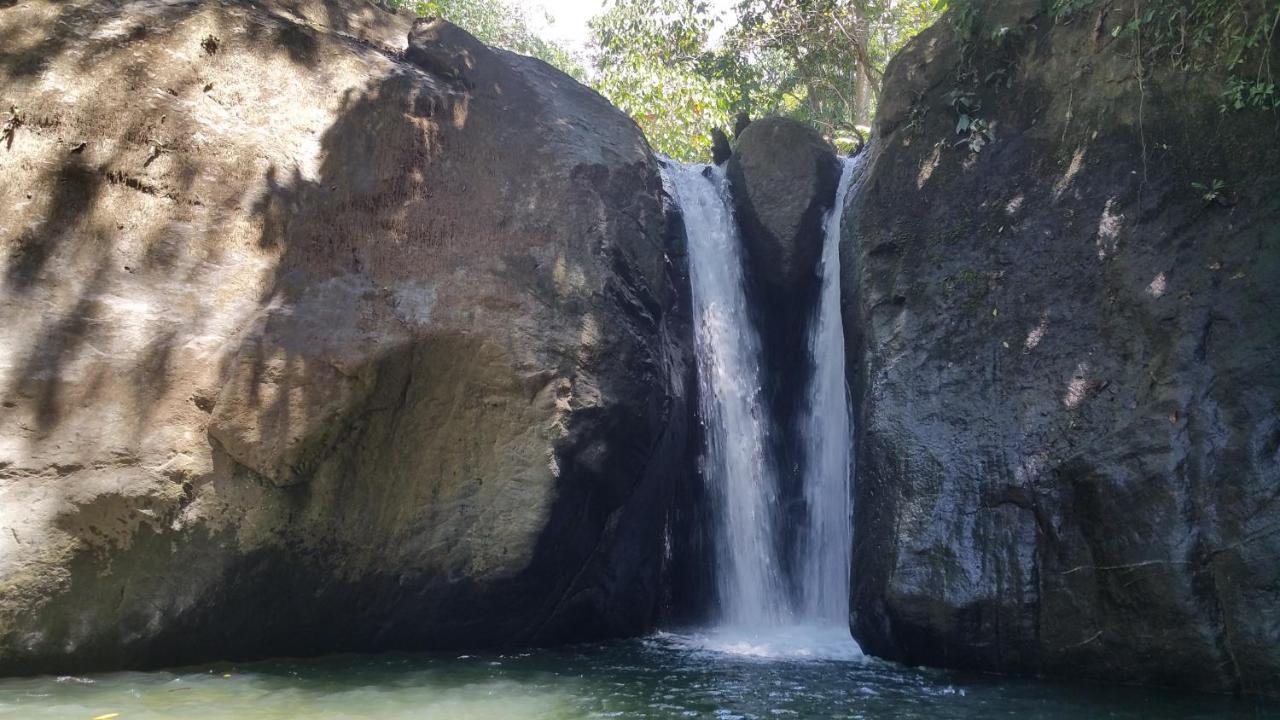 فندق أوفيتافي  Osa De Rio المظهر الخارجي الصورة